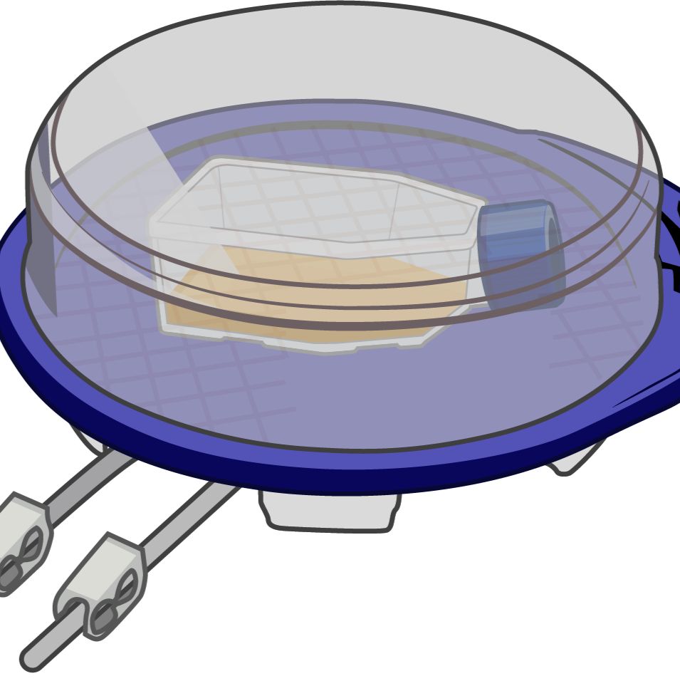 细胞缺氧小室实验室微生物低氧小室替代二氧化碳培养箱