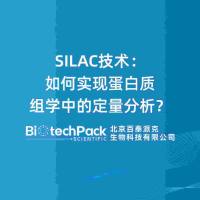 SILAC技术:如何实现蛋白质组学中的定量分析?