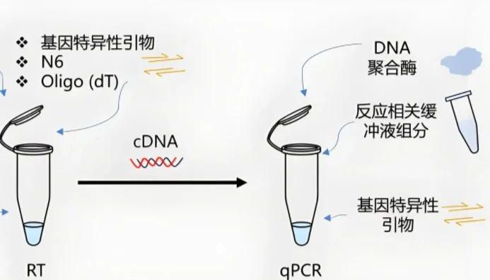 qPCR复孔差距大，这些原因你排查了吗？