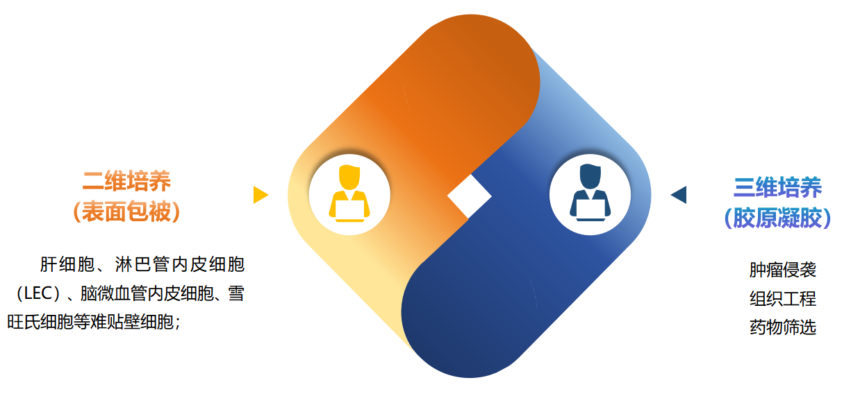 鹅肝微粒体 2.png