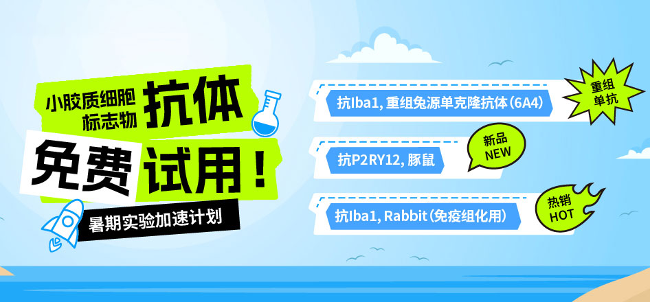 暑期实验加速计划！小胶质细胞标志物抗体试用来袭