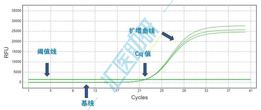 （注：Ct值与Cq值表达的意思基本一致，实验指南建议用Cq值来命名，所以不必纠结两者的名称，同等看待即可）
