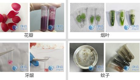 科研人关心的研磨活性|上海冷冻研磨仪厂家的这台设备真能护住