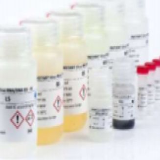 HBV DNA定量试剂盒 Roboscreen