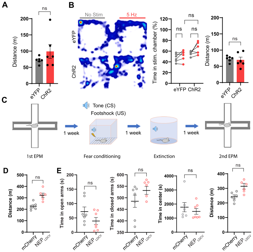 IF=45.5【新品推荐】Cell重磅！神经肽研究革命性工具：CybSEP2传感器与NEPLDCV沉默器
