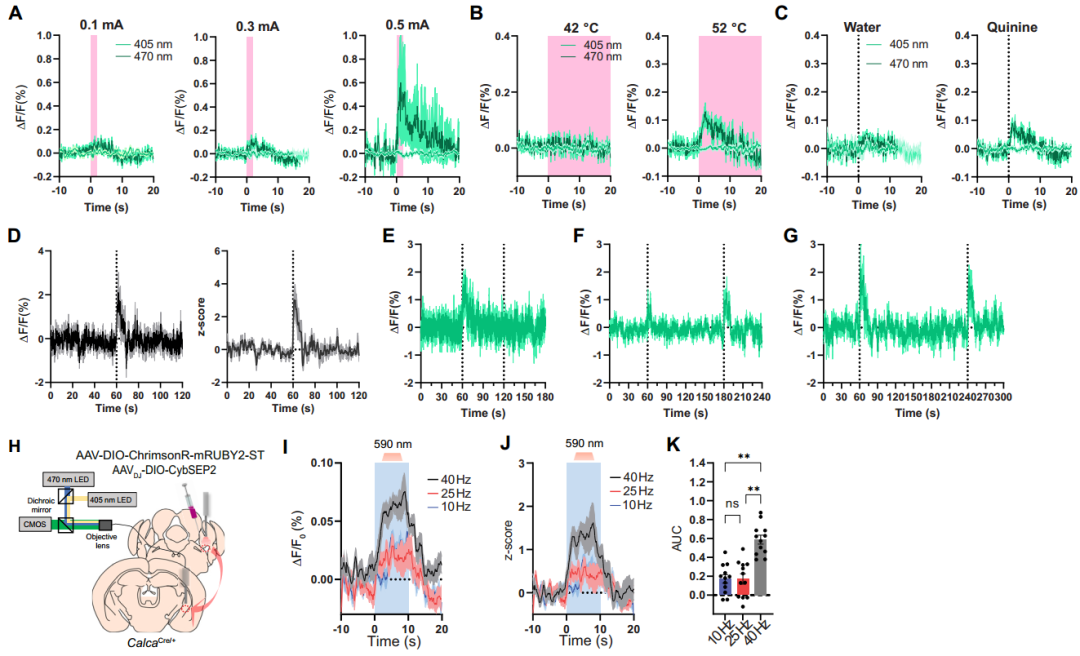 IF=45.5【新品推荐】Cell重磅！神经肽研究革命性工具：CybSEP2传感器与NEPLDCV沉默器