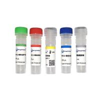 转基因玉米品系Bt11探针法PCR试剂盒