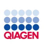 QIAGEN REPLI-g Midi试剂盒 25tests