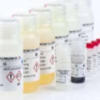 RoboGene HCV RNA定量试剂盒3.0