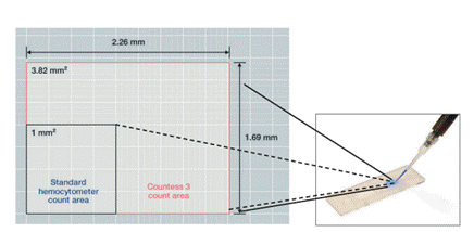 A diagram of a square with a ruler and a square with a ruler and a square with a ruler and a square with a ruler and a square with a ruler and a square with a ruler and
AI-generated content may be incorrect.