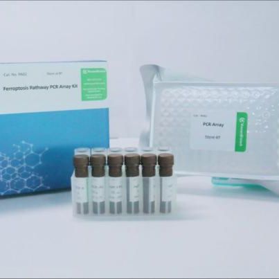 铁死亡信号通路PCR阵列试剂盒（Ferroptosis Pathway PCR Array Kit）