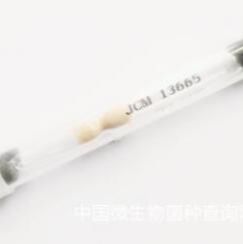 青贮窖芽孢杆菌