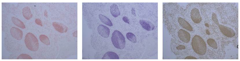 图片包含 游戏机, 布, 地毯
AI 生成的内容可能不正确。
