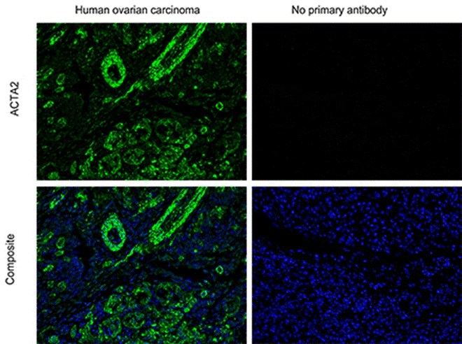 图片包含 图形用户界面
AI 生成的内容可能不正确。