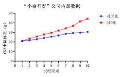 肥胖模型：代谢疾病研究的关键工具