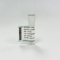 Seebio® 人α1-抗胰蛋白酶