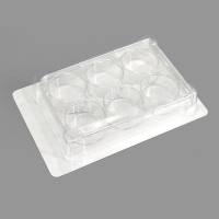 BeyoGold™ Plus超低吸附6孔板(平底带盖, 独立包装)