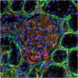 荧光探针基团选择指南:满足荧光检测和定量分析研究需求-赛默飞