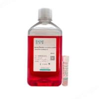 OptiVitro NK细胞扩增无血清培养基