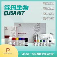 猴D-乳酸脱氢酶(D-LDH)ELISA试剂盒