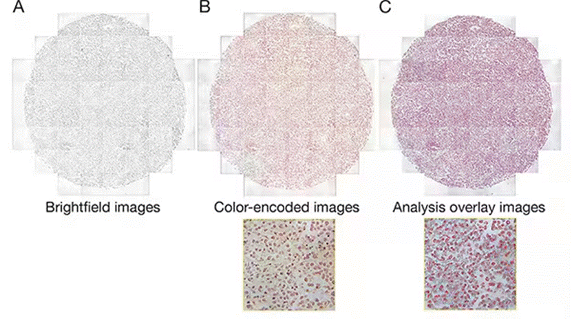图示
AI 生成的内容可能不正确。