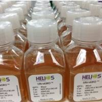 HPCFDCGL05 Helios血清替代物