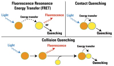 图表, 散点图, 气泡图
AI 生成的内容可能不正确。
