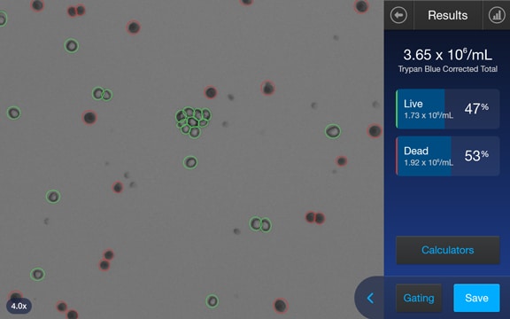明场活/死细胞结果屏幕