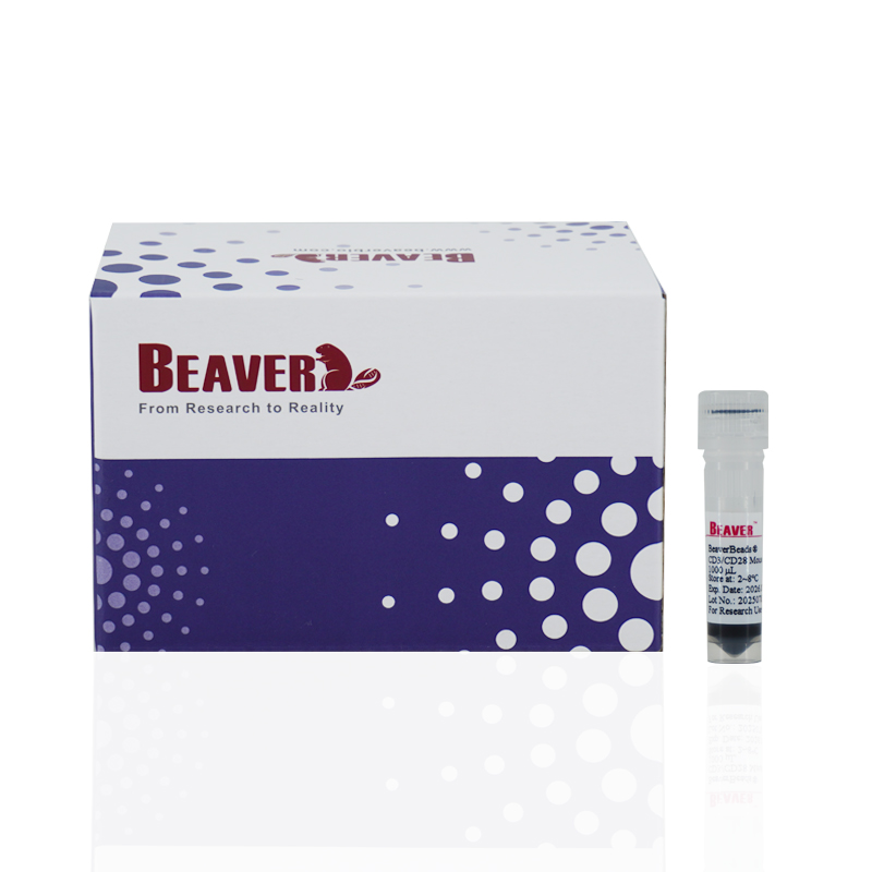 小鼠CD3/CD28 T细胞激活磁珠