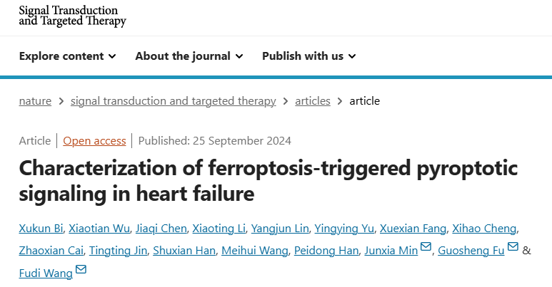 顶刊思维 | STTT重磅！铁死亡携手多组学，揭示心衰治疗新靶点