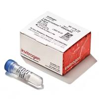 Invitrogen™ Lipofectamine™ RNAiMAX 转染试剂 13778150