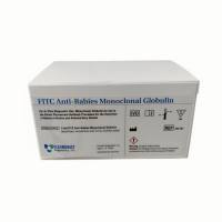 FITC标记抗狂*犬*病单克隆免疫球蛋白（Anti Rabies Monoclonal