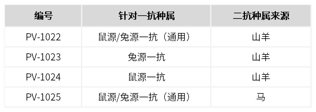 新品上市 | 比传统HRP效果强数十倍?揭秘聚合物信号放大技术的颠覆性优势