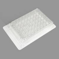 BeyoGold™ Plus超低吸附48孔板(平底带盖, 独立包装)