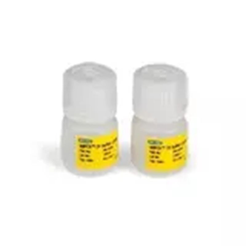 1864052伯乐缓冲液对照试剂盒染料法2x4.5ml Bio-Rad EvaGreen