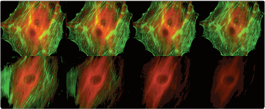 图片包含 看着, 华美, 灯光, 蛋糕
AI 生成的内容可能不正确。