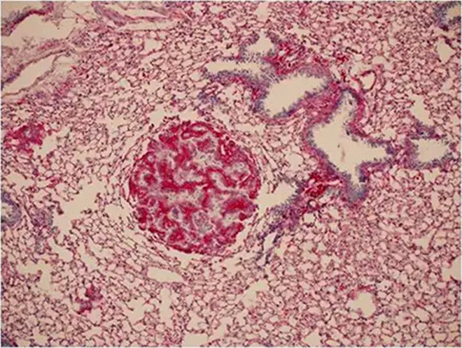 地毯上有布
AI 生成的内容可能不正确。