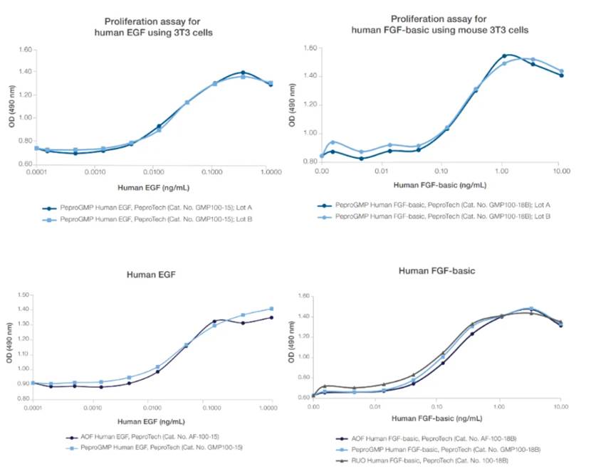 图形用户界面, 应用程序

AI 生成的内容可能不正确。