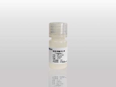 I型胶原酶消化液