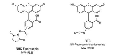 图示
AI 生成的内容可能不正确。