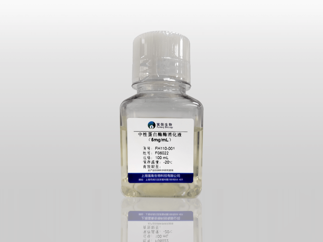 中性蛋白酶消化液