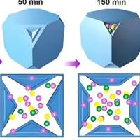 负载盐酸阿霉素的普鲁士蓝纳米颗粒被聚乙烯亚胺修饰 DOX@PB NPs-PEI