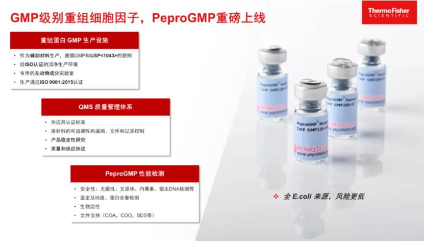 PeproGMP又添新成员：BDNF细胞因子新品上市-赛默飞