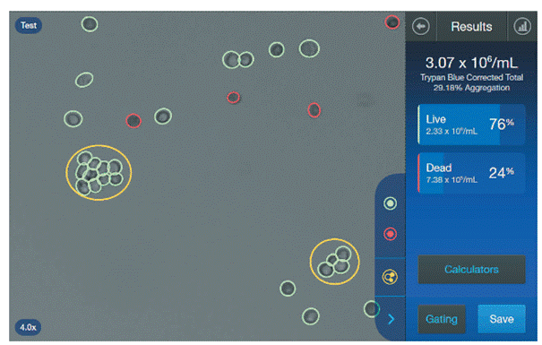 A screenshot of a computer
AI-generated content may be incorrect.