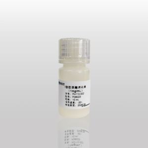 I型胶原酶消化液