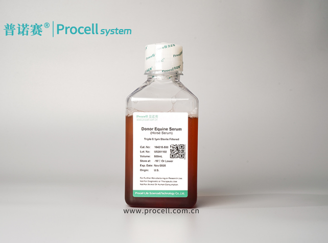 马血清：适用各种细胞，低内毒素，无污染，有效促进细胞增殖