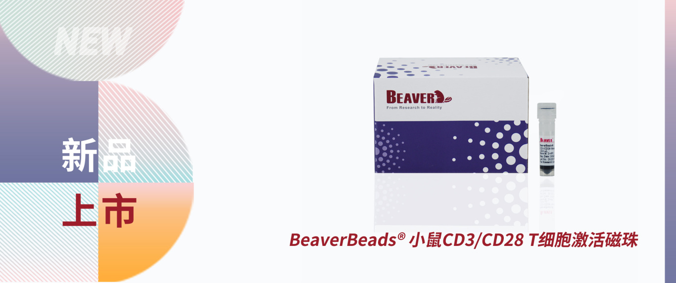 小鼠CD3/CD28 T细胞激活磁珠