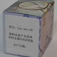 染料法流产衣原体实时定量PCR试剂盒