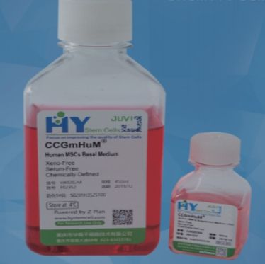 HY StemCell自研 MSC细胞培养基