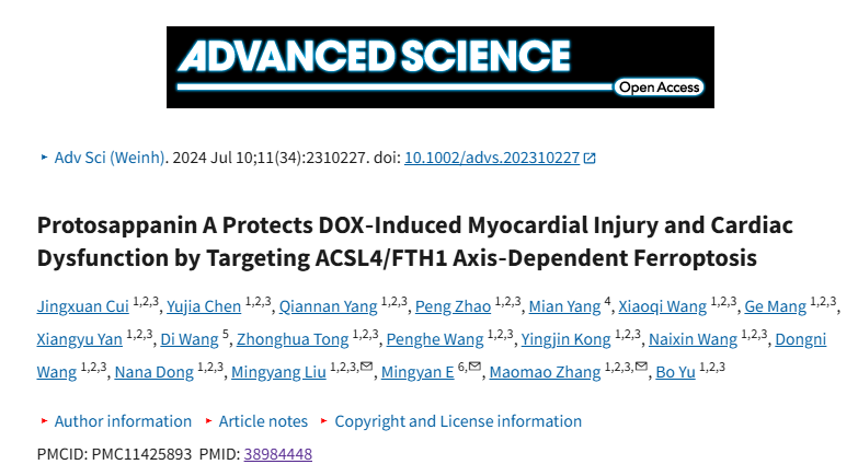 顶刊思维 | 哈尔滨医科大学这波操作绝了，天然化合物直击化疗心脏难题，Adv Sci 都点赞